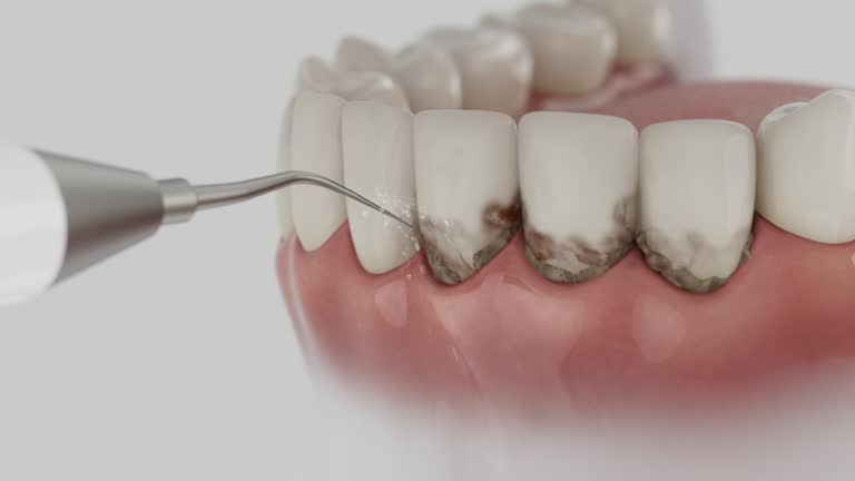 Reliable Dental contractor in Lake and Peninsula Borough County, AK by Dentist Open Now
